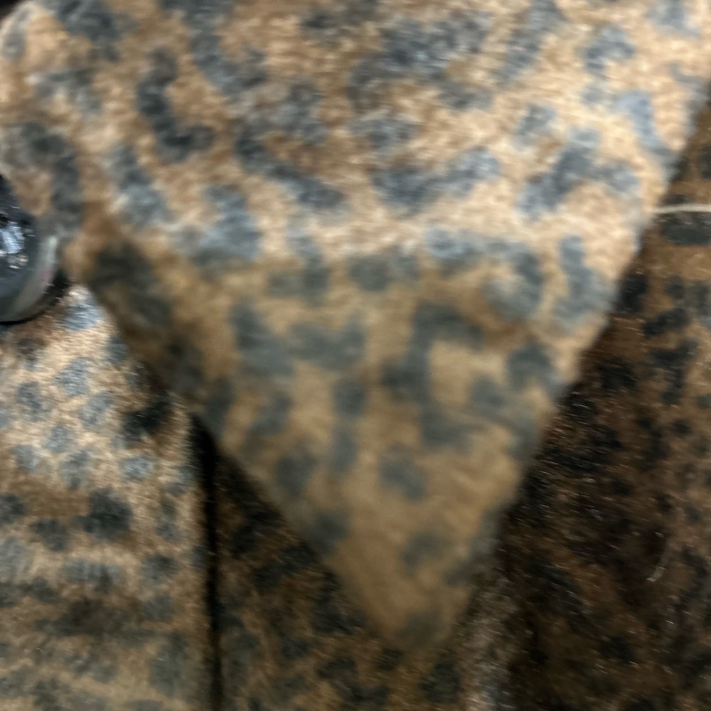 Leopard Print Button-Up Jacket - image 5